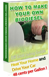 DIY Bio Diesel Processor ebook $9.95