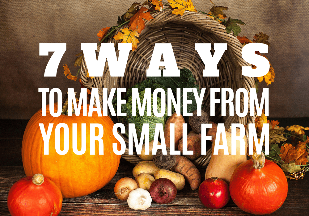 Make Money From Your Small Farm