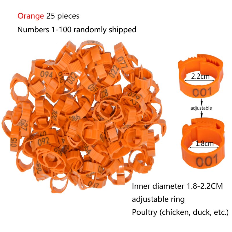 Chicken Orange 25pcs